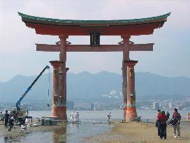 Repainting begins at Itsukushima Shrine's Torii gateway